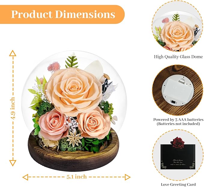 Preserved Roses Forever Flowers in Glass - Birthday Gifts for Women Mom, Real Flowers for Delivery Prime | Rose Gift for Grandma Wife Sister Friend (Mix Champagne)