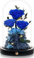 Christmas Flowers Roses Gifts for Mom,Forever Real Preserved Roses in Glass Dome,Christmas Anniversary Thanksgiving Gifts for Wife Girlfriend Women Best Friend Grandma/Blue Rose