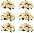 Flower Centerpieces for Wedding Tables: Wedding Table Decorations Peachy Champagne & White Flower Balls Centerpieces for Engagement Cerebration Party Center Pieces 6 Packs