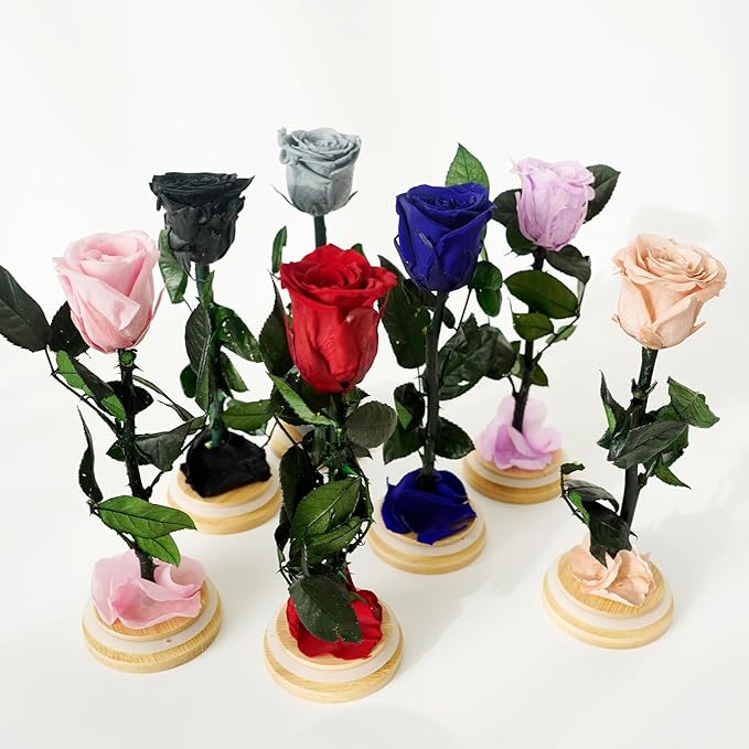 9.8 inches Preserved Rose in Glass Dome Rose with Green Leaves Eternal Love and Natural Beauty for Grandma Mom Girlfriend Classmate Friend Lover (Royal Blue)