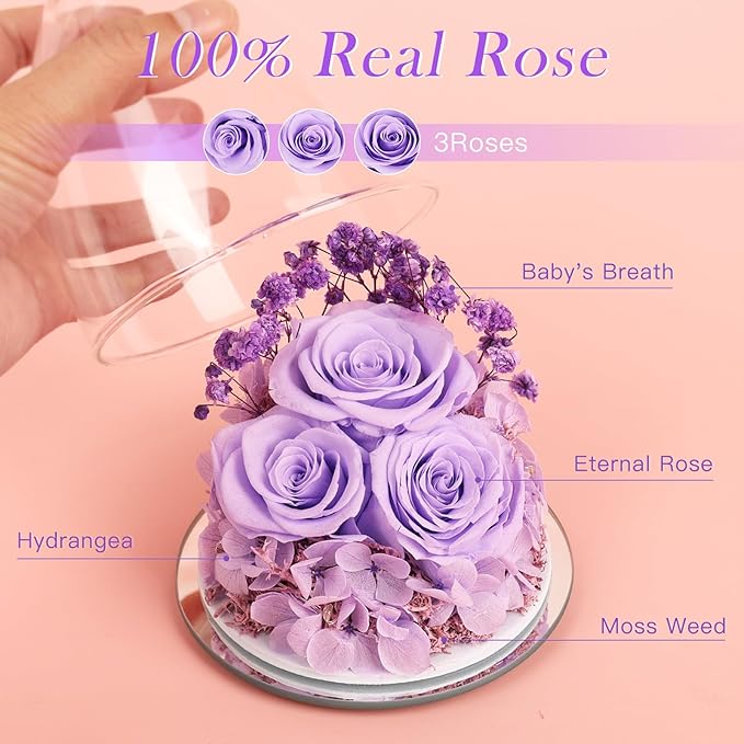 Preserved Flower Rose Gifts for Women, Forever Eternal Fresh Flowers in Glass Angel Figurines Real Purple Roses for Delivery Prime for Grandma Mom Sister Her Wife on Mothers Day Birthday Christmas