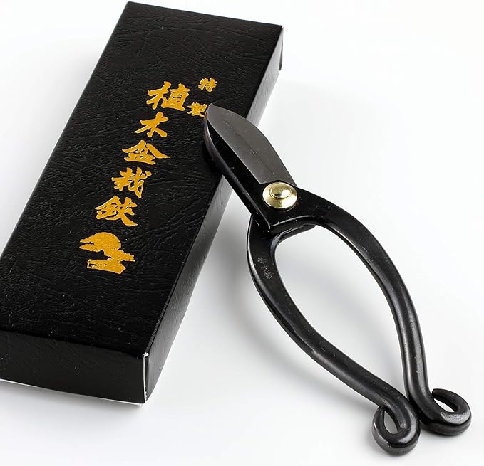 Wazakura Made in Japan Ikebana Tool Kit - Ikenobo Scissors + Sun and Moon Kenzan Flower Holder, Japanese Floral Arrangement Set, Florist Shears and Pin Frog Gift Box Set - Sun and Moon Kenzan Set