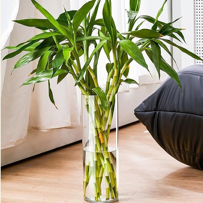 Clear Acrylic Flower Vase, Modern Unbreakable Decorative Cylinder Vase for Wedding Bouquets, Centerpieces, and Home Decor - 12cm Diameter, 25cm Height