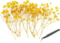 PATIKIL Mini Dried Gypsophila Flower Kit, 30Pcs 4 Inch Yellow Natural Pressed Floral Bundles with Tweezer for DIY Resin Crafts Gift Wedding Christmas Card Decor Flower Bouquets