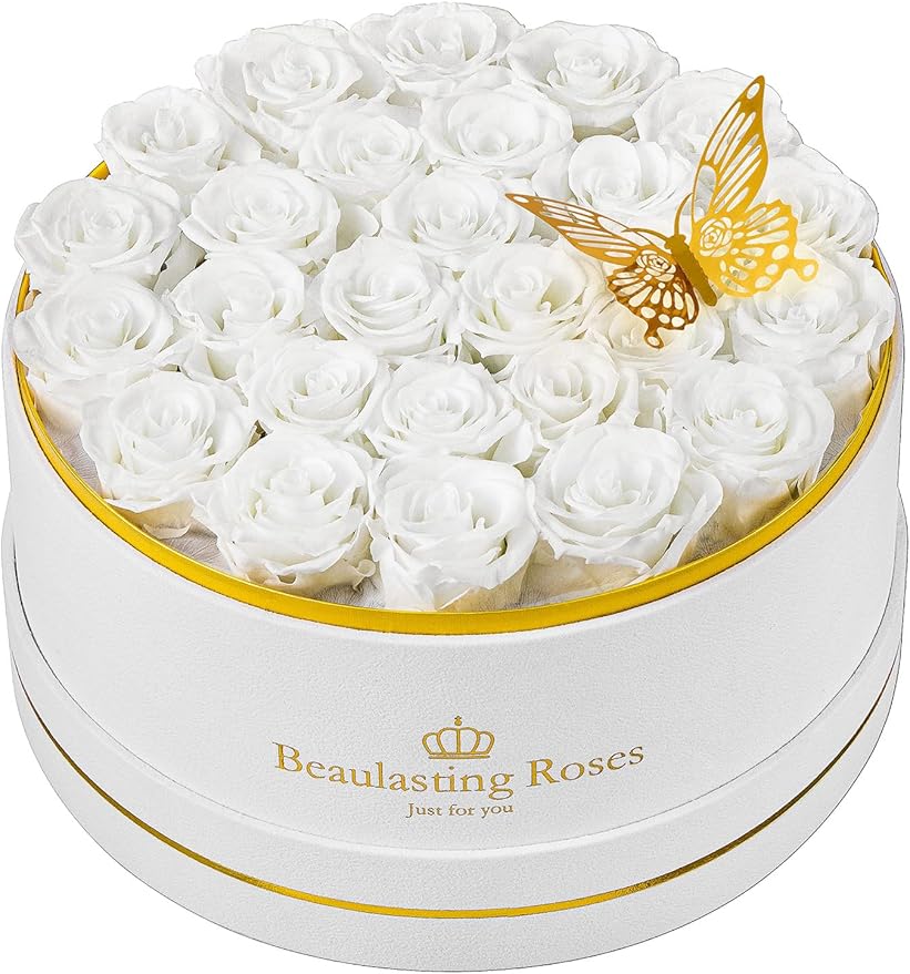Preserved Roses Forever Flowers Real Roses in a Box Mother's Day Birthday Flowers for Her Mom Women Wife Valentine's Day, 27 White Roses