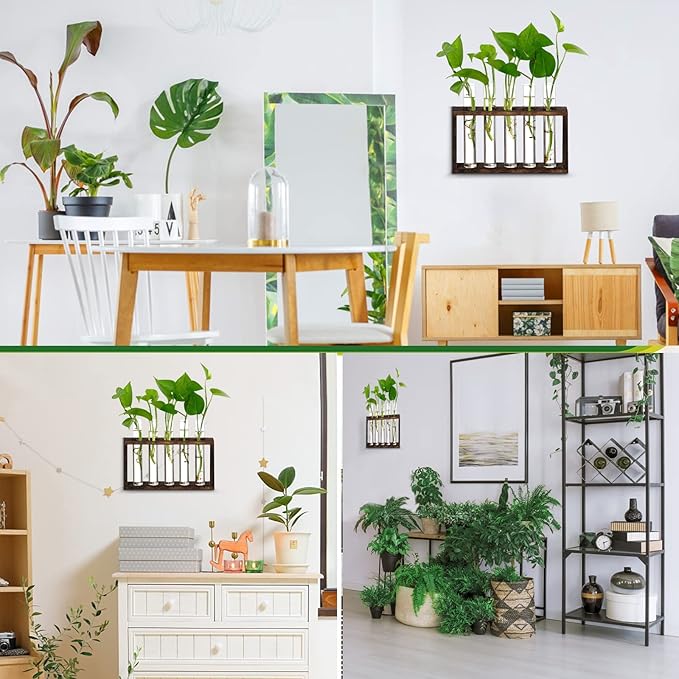 XXXFLOWER Plant Terrarium Wooden Stand with 5 Test Tubes,Glass Planters for Indoor Plants,Plant Lover Gifts for Women Garden Office Decoration