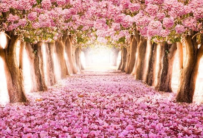 AOFOTO 6x4ft Spring Cherry Blossom Backdrop Sweet Pink Flowers Tree Floral Petal Boulevard Photography Background Baby Shower Photo Studio Props Kid Baby Infant Newborn Artistic Portrait Wallpaper