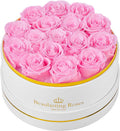 Preserved Roses Forever Flowers Real Roses in a Box Mother's Day Birthday Flowers for Her Mom Women Wife Valentine's Day, 16 Light Pink Roses