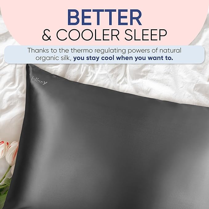Blissy Silk Pillowcase - 100% Pure Mulberry Silk - 22 Momme 6A High-Grade Fibers - Silk Pillow Cover for Hair & Skin - Regular, Queen & King (Gray, Queen)