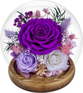 Preserved Roses Forever rose in glass dome - Birthday Gifts for Women Mom, Real Flowers for Delivery Prime | Rose Gift for Grandma Wife Sister Friend(Mix purple)