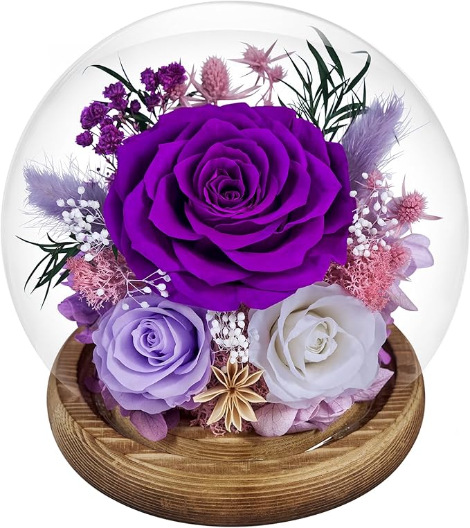 Preserved Roses Forever rose in glass dome - Birthday Gifts for Women Mom, Real Flowers for Delivery Prime | Rose Gift for Grandma Wife Sister Friend(Mix purple)