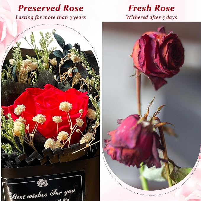 Preserved Roses in a Box, Forever Real Flowers, Single Eternal Red Rose Bouquet in Gift Box - Preserved Roses Gifts for Women, Girlfriend, Valentine's Day, Christmas Day