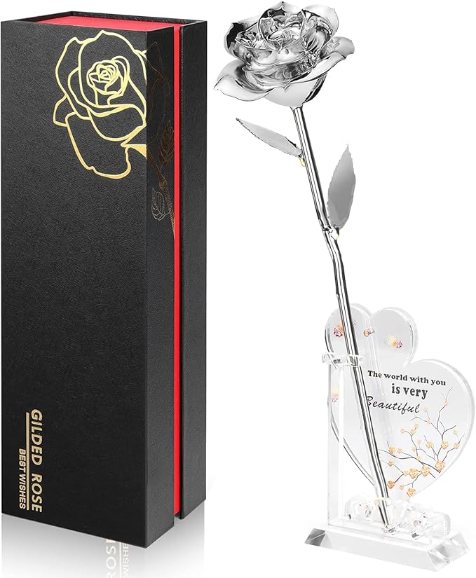 Gold Dipped Infinity Rose Last Forever Flower Decor, Birthday Gift for Women in Her Birthday Mothers Day, Resin Preserved Rose | Anniversary Present for Mom (Silver)