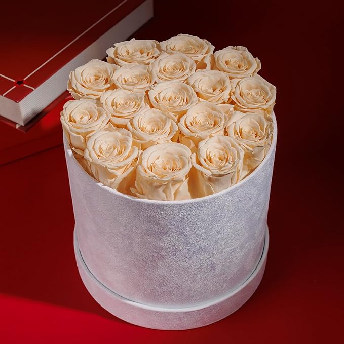 17 Flowers in a Luxury Suede Box, Birthday Gifts for Women, Preserved Flowers, Mothers Day Roses Gift for Mom, Champagne
