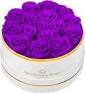 Preserved Roses Forever Flowers Real Roses in a Box Mother's Day Birthday Flowers for Her Mom Women Wife Valentine's Day, 16 Purple Roses
