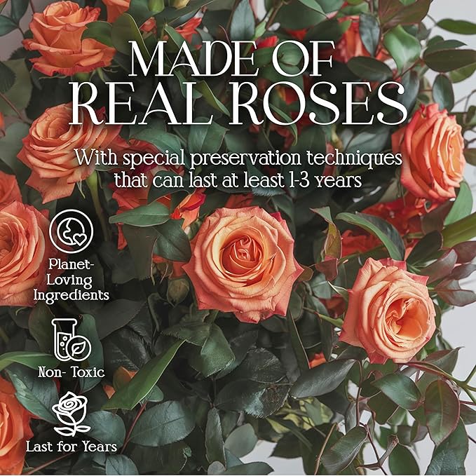 GLAMOUR BOUTIQUE Preserved Roses in a Box - Gifts for Her, Wife & Mom, Rose Flowers Forever Decor for Birthday Gift, Get Well Flower Bouquet Cased in White Box with Cover - Orange - 16-Piece