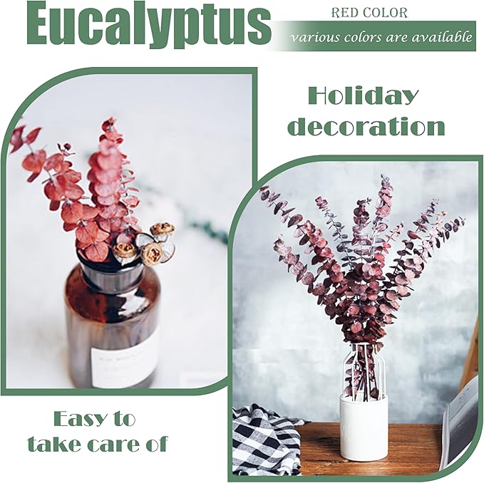 (20Pcs) Dried Eucalyptus Stems - Red, Fall Decorations for Home, Real Long Eucalyptus, Dried Flowers for Vase, 17" Floral Arrangement, Wedding