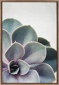 Kate and Laurel Sylvie Succulent Framed Canvas Wall Art by F2 Images, 23x33 Gold