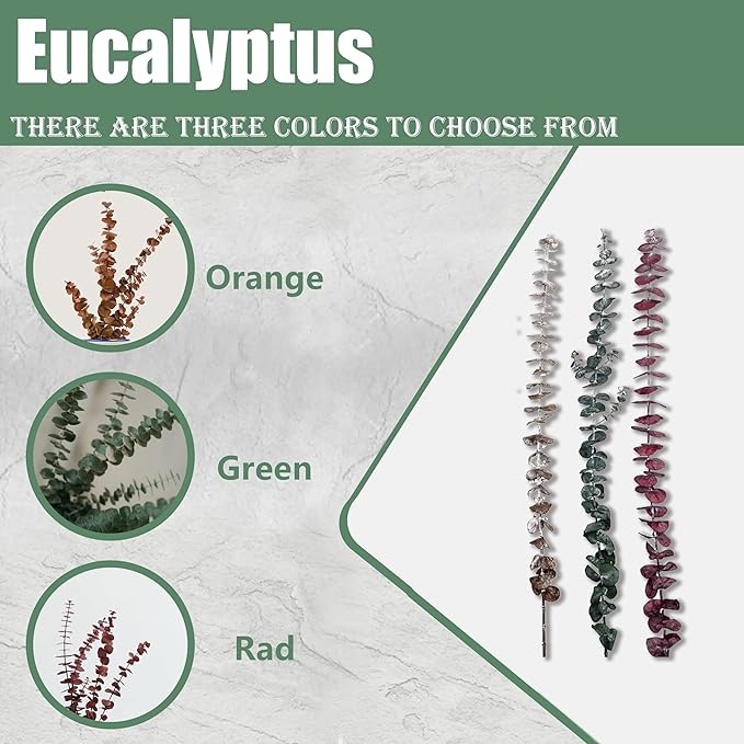 (20Pcs) Dried Eucalyptus Stems - Red, Fall Decorations for Home, Real Long Eucalyptus, Dried Flowers for Vase, 17" Floral Arrangement, Wedding (Orange)