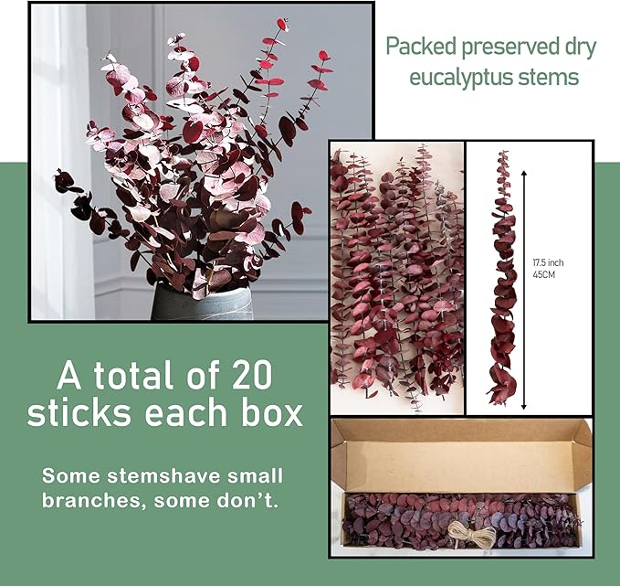 (20Pcs) Dried Eucalyptus Stems - Red, Fall Decorations for Home, Real Long Eucalyptus, Dried Flowers for Vase, 17" Floral Arrangement, Wedding