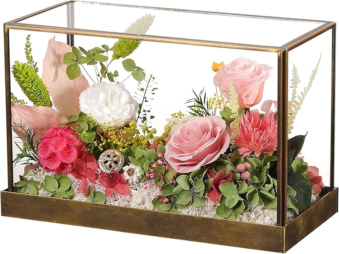 Christmas Flowers Roses Gifts for Mom,Forever Real Preserved Rose in Glass Dome,Christmas Roses Gifts for Women Grandma Wife Mother in Law