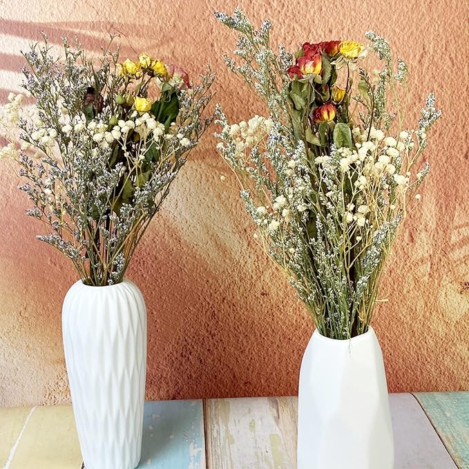 L'BREVOGA Dried Flower Spray Rose Bouquets, 2 Bunches 100% Natural Flowers, Miniature Roses with Baby’s Breath for Decoration Home Party (Spray Rose)