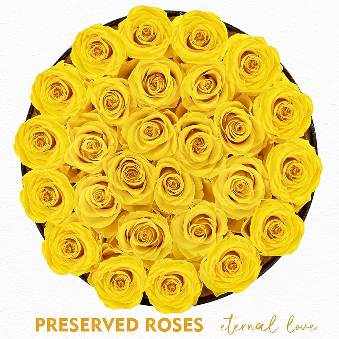 Forever Flowers 27 Roses in A Box, Real Preserved Roses, Birthday Gift for Women, Mother's Day, Anniversary Day - Yellow Rose