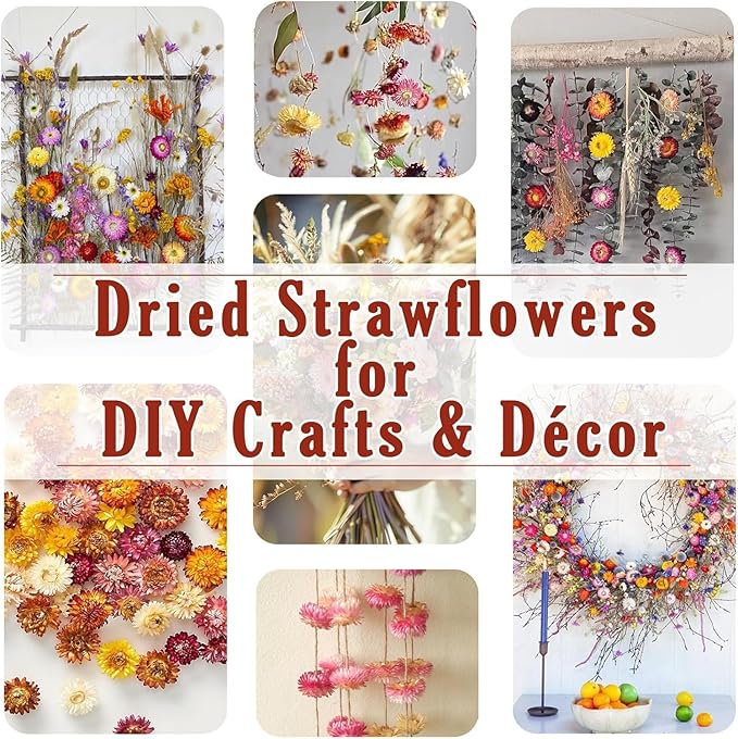 30Pcs Dried Strawflowers Bouquet, 14 - 17" Real Dried Daisy Flowers with Long Stems for Wedding, Farmhouse, Table & Home Decor, Yellow & Orange Fall Floral for Vase or DIY Arrangement