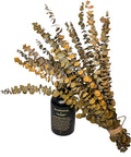(20Pcs) Dried Eucalyptus Stems - Red, Real Long Eucalyptus, Dried Flowers for Vase, 17" Floral Arrangement, Wedding (Yellow)