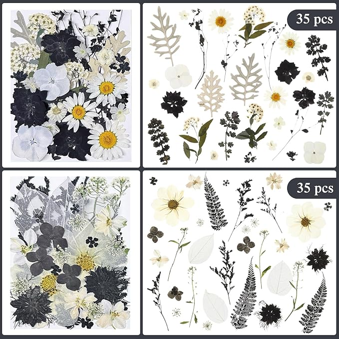 Nuanchu 167 Pcs Real Dried Pressed Flowers Natural Dried Flowers Colorful Daisy Mixed Wildflowers Leave for DIY Candle Resin Nails Jewelry Pendant Crafts Floral Art(Black White,Vintage Style)