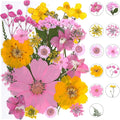 30Pcs Dried Pressed Natural Flowers for Resin Molds Real Pressed Flowers Dry Leaves Bulk Natural Herbs Kit for DIY Scrapbooking Art Crafts Jewelry Molds Candle Soap Making Nails Decor (Yellow+ Pink)