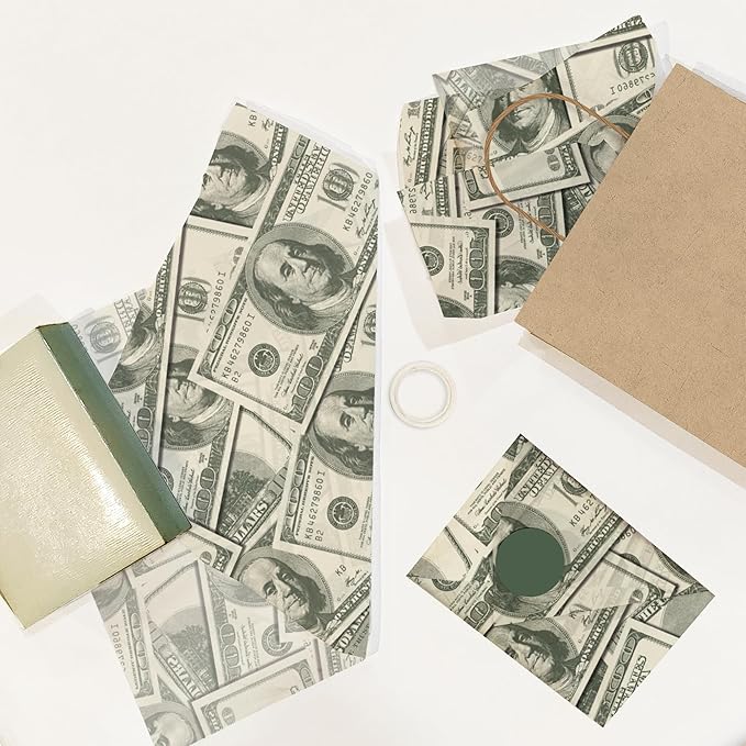Money Printed Tissue Paper for Birthday Party Gift Bags or Boxes and Wrapping - Bulk Decorative Art Tissue Paper for Packaging and Gifting | 24 Sheets 20" x 30"