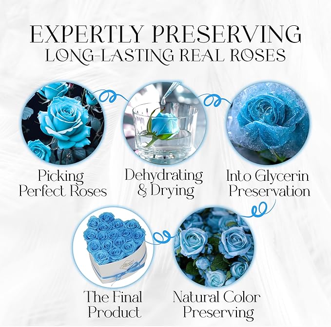 GLAMOUR BOUTIQUE Preserved Roses in a Box - Gifts for Her, Wife & Mom, Rose Flowers Forever Decor for Birthday Gift, Get Well Flower Bouquet Cased in White Box with Cover - Teal - 16-Piece