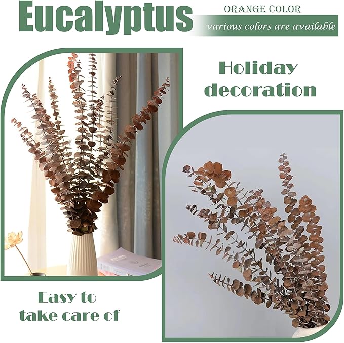(20Pcs) Dried Eucalyptus Stems - Red, Fall Decorations for Home, Real Long Eucalyptus, Dried Flowers for Vase, 17" Floral Arrangement, Wedding (Orange)