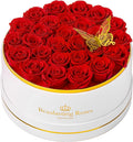 Preserved Roses Forever Flowers Real Roses in a Box Mother's Day Birthday Flowers for Her Mom Women Wife Valentine's Day, Red, 27 Piece