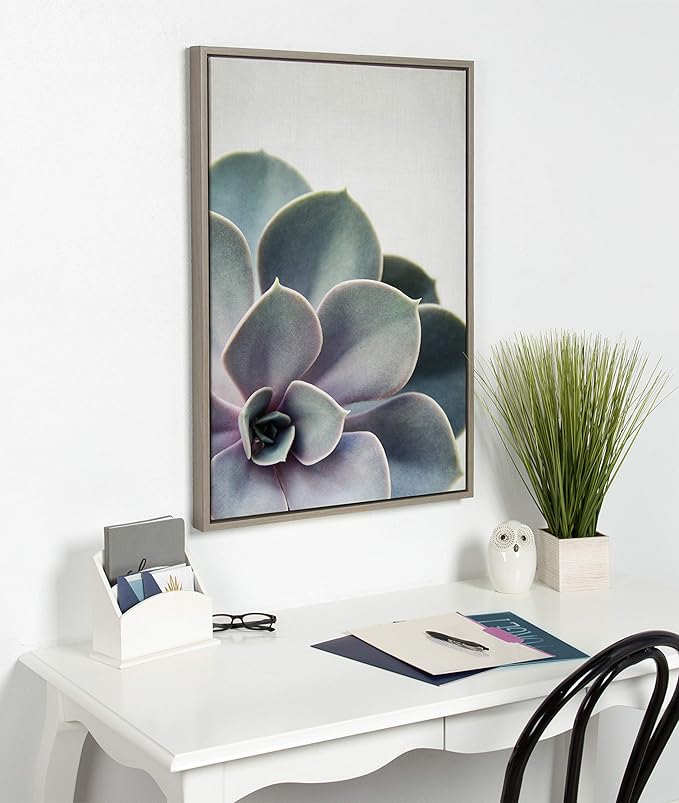 Kate and Laurel Sylvie Succulent 5 Framed Canvas by F2 Images, 23x33 Gray