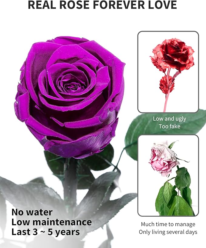 Purple Flowers for Delivery Prime, Preserved Purple Roses Flower Gifts for Women, Real Roses Single Rose Gifts for Her, Mom Birthday Gifts from Daughter, Valentines Flowers