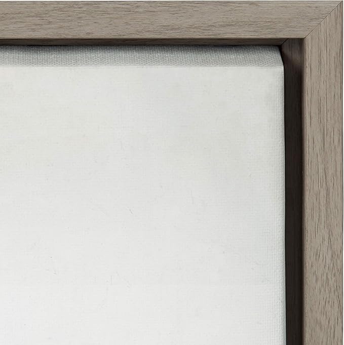 Kate and Laurel Sylvie Succulent 5 Framed Canvas by F2 Images, 23x33 Gray