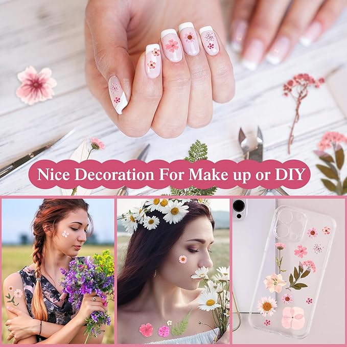 Nuanchu 167 Pcs Real Dried Pressed Flowers Natural Dried Flowers Colorful Daisy Mixed Wildflowers Leave for DIY Candle Resin Nails Jewelry Pendant Crafts Floral Art(Pink,Candy Style)
