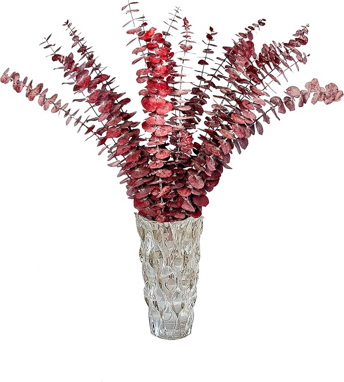 (20Pcs) Dried Eucalyptus Stems - Red, Fall Decorations for Home, Real Long Eucalyptus, Dried Flowers for Vase, 17" Floral Arrangement, Wedding