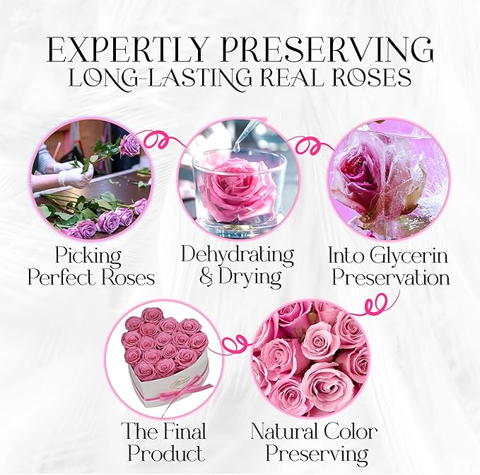 GLAMOUR BOUTIQUE Preserved Roses in a Box - Gifts for Her, Wife & Mom, Rose Flowers Forever Decor for Birthday Gift, Get Well Flower Bouquet Cased in White Box with Cover - Pink - 16-Piece