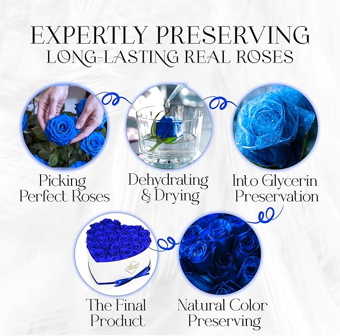 GLAMOUR BOUTIQUE Preserved Roses in a Box - Gifts for Her, Wife & Mom, Rose Flowers Forever Decor for Birthday Gift, Get Well Flower Bouquet Cased in White Box with Cover - Blue - 27-Piece