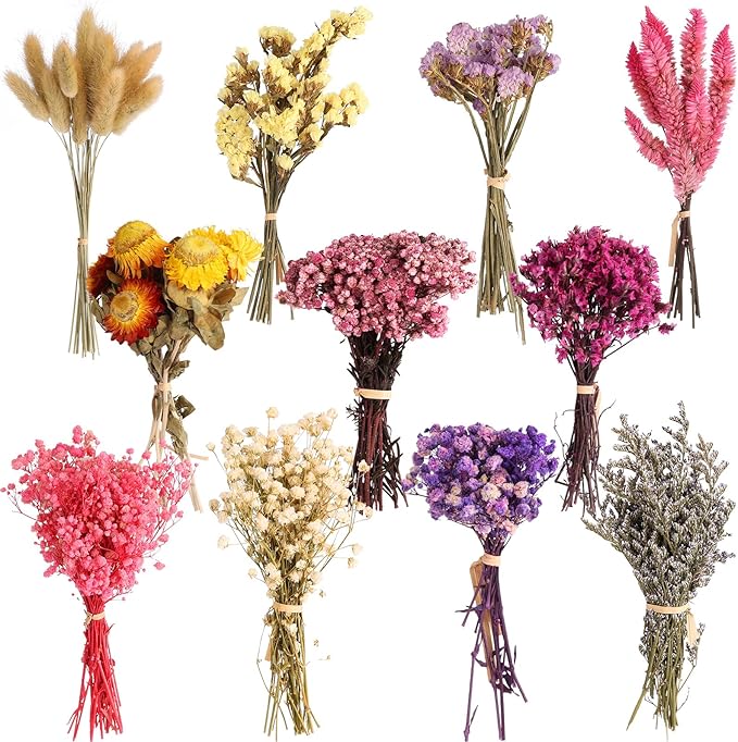 11 Kinds of Dried Flowers for Crafts Bulk DIY Natural Multi-color Dried Pampas Grass Lavender Forget Me Not Babys Breath with Stems Dry Flower Bouquets with Hemp Rope for Home Decor Floral Arrangement
