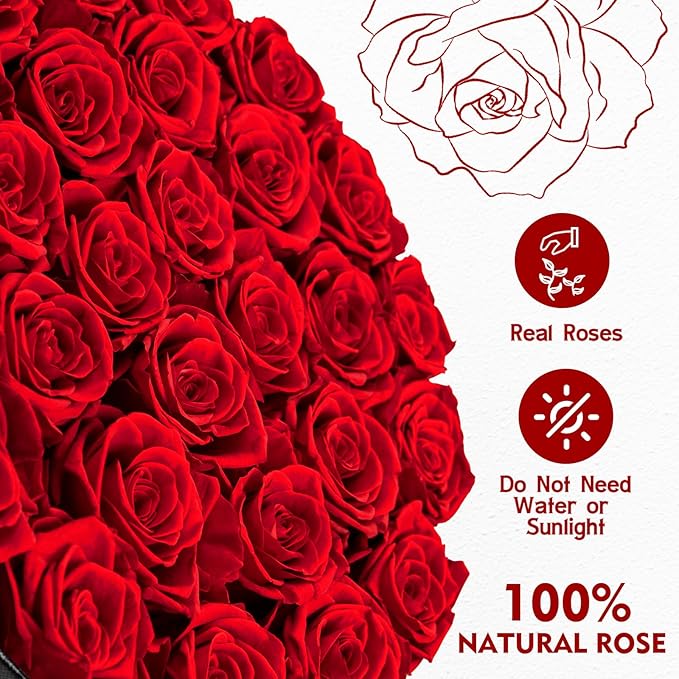 Forever Flowers, 27 Roses in A Box, Real Preserved Roses, Birthday Gift for Women, Mother's Day, Anniversary, Red Rose