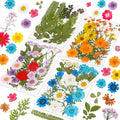 96Pcs Dried Pressed Flowers for Resin, Bulk Natural Dried Flowers,for Scrapbooking DIY Art Crafts Resin Accessories, Soap,Candle Making Nails Decor. Epoxy Resin Jewelry Molds.Craft Making