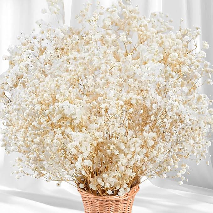 5000+ Dried Babys Breath Flowers Bulk - 17" Ivory White Dried Flower Bouquet, Real Natural Gypsophila Branches for Vase Filler, Wedding, Table Centerpiece, Home Decor, DIY Wreath Floral, Crafts