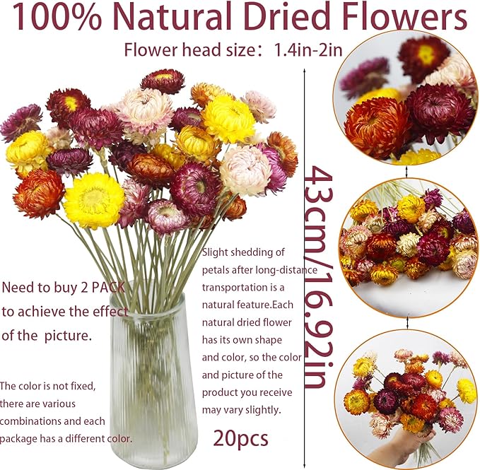 20 Pcs Natural Dried Daisy Flowers Bouquet Dried Flower Multicolor Daisies Dried Sunflowers Chrysanthemum Dry Flower with Stem for Wedding Farmhouse Table Vase Decor Home DIY Floral Arrangement