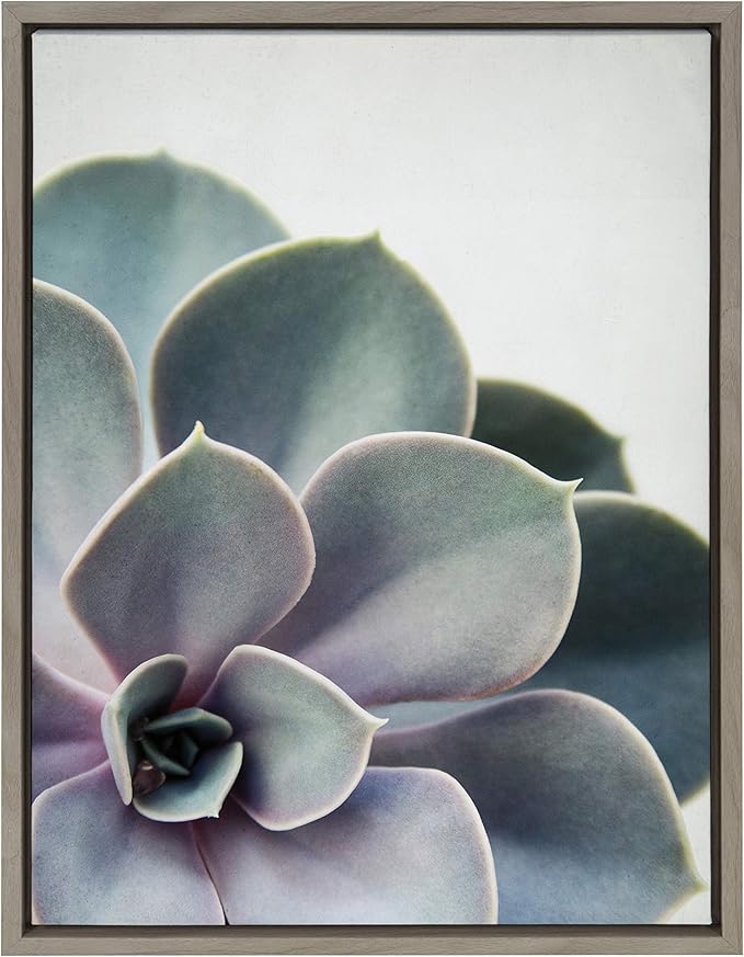 Kate and Laurel Sylvie Succulent 5 Framed Canvas by F2 Images, 18x24 Gray