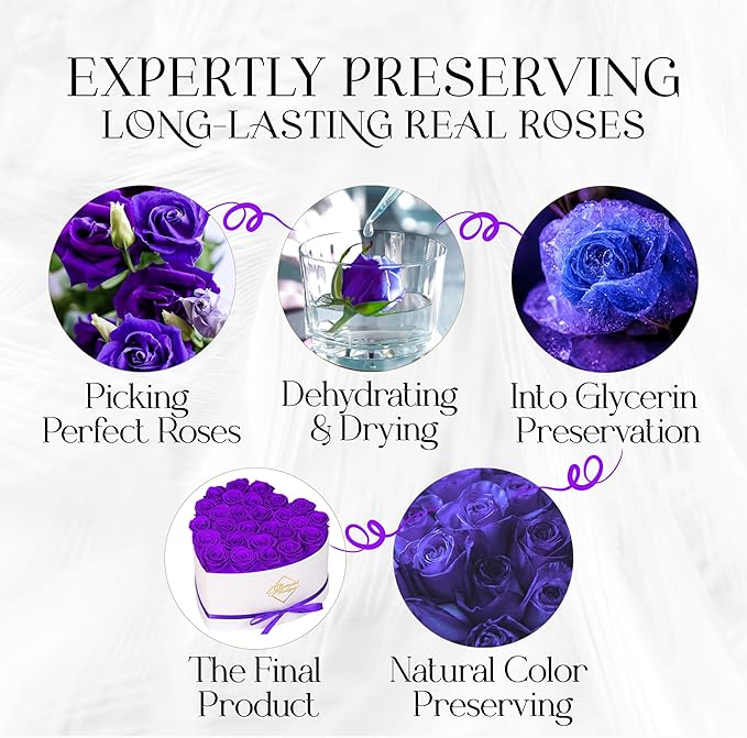 GLAMOUR BOUTIQUE Preserved Roses in a Box - Gifts for Her, Wife & Mom, Rose Flowers Forever Decor for Birthday Gift, Get Well Flower Bouquet Cased in White Box with Cover - Purple - 27-Piece