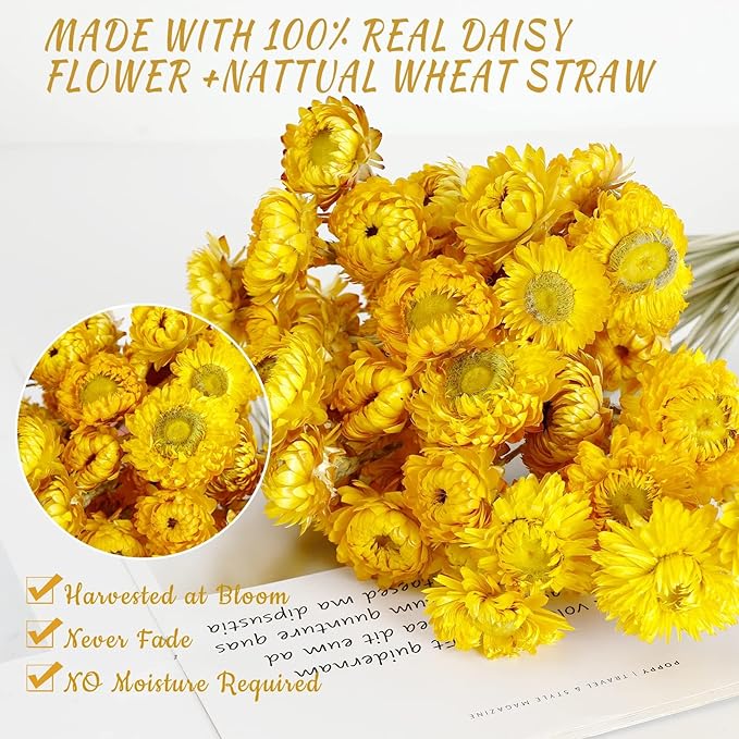 Dried Flower 40PCS Daisy Bouquet 100% Natural Chrysanthemum Dry Flower for Vase Home décor Party DIY Arrangement Wheat Straw Bulk（Yellow）